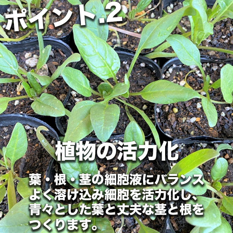 植物の活力化